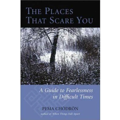 Afbeelding van The Places That Scare You