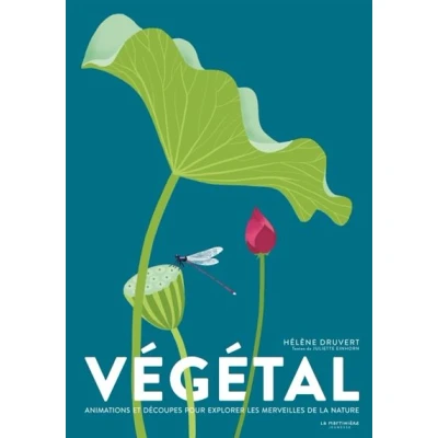 Image de Végétal