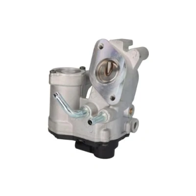 Afbeelding van DELPHI EG10540 12B1 EGR klep Zonder AGR koeler