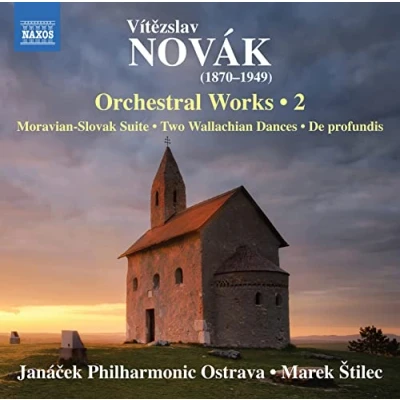 Afbeelding van Pavel Svoboda, Janacek Philharmonic Ostrava Novak: Orchestral Works, Vol. 2 (CD)