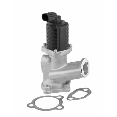Afbeelding van WAHLER 712070D EGR klep Electrisch LANCIA: Musa, FIAT: 500 C Convertible