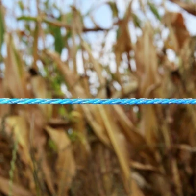 Afbeelding van Schrikdraad 3mm blauw 1000m