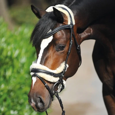 Image de Kavalkade Bride Ivy avec Fourrure Noir Cob