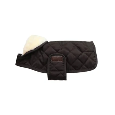 Image de Kentucky Veste pour Chien Original Royal Marron 25cm