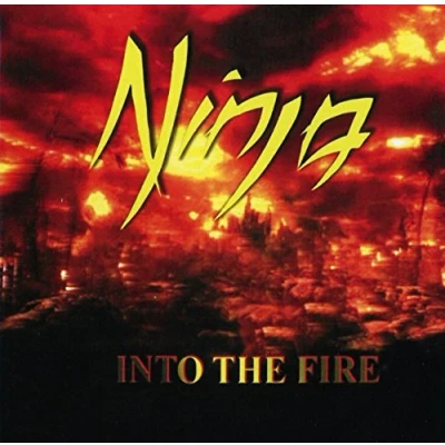 Afbeelding van Into The Fire