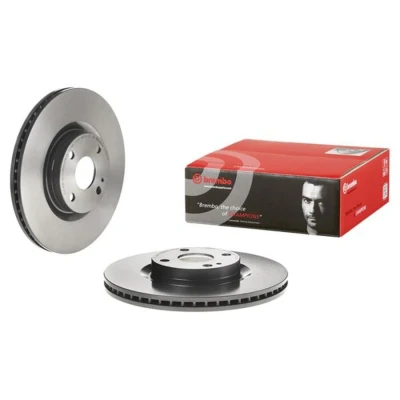 Image de 2 disques de frein brembo 09.d307.11