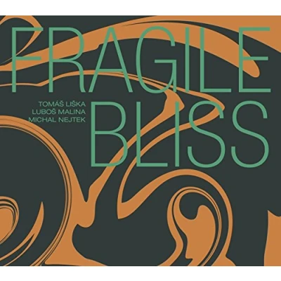 Afbeelding van Tomas Liska, Lubos Malina, Michal Nejtek Fragile Bliss (CD)