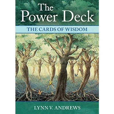 Afbeelding van The Power Deck: Cards of Wisdom