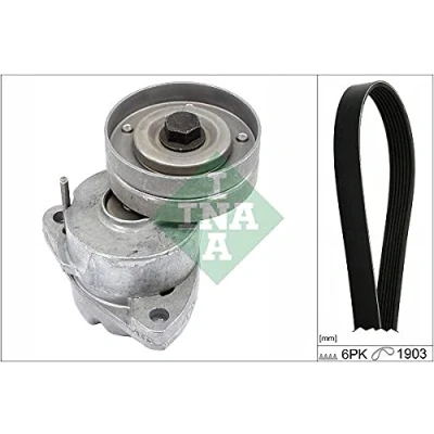 Afbeelding van Ina Poly V riemen kit 529 0091 10