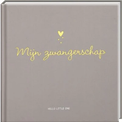 Image de Baby invulboeken Mijn zwangerschap