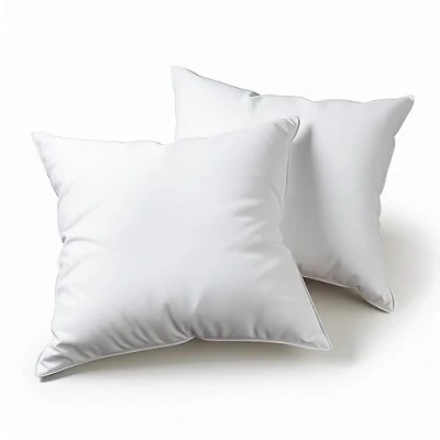 Afbeelding van Bankkussen 45 x cm, set van 2 kussens, decoratieve accessoires voor bank, decoratie, stijlvol, woonkamer en buiten, hypoallergeen mijtwerend, met kussensloop microvezel.