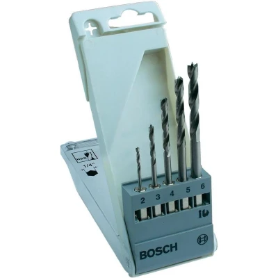 Afbeelding van Bosch Accessories 2608595525 Hout spiraalboorset 5 delig 2 mm, 3 4 6 mm 1/4 (6.3 mm) 1 set(s)