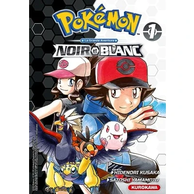 Afbeelding van Pokemon noir et blanc double,01