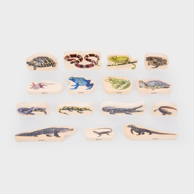 Afbeelding van TickiT WOODEN REPTILE &amp; AMPHIBIAN BLOCKS