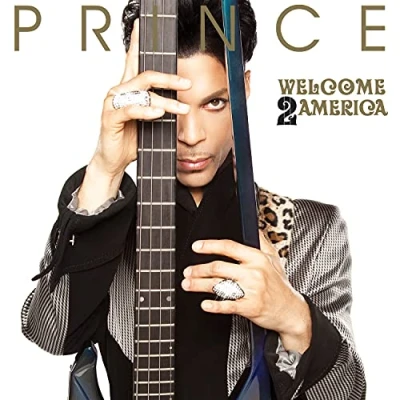Afbeelding van Prince Welcome 2..