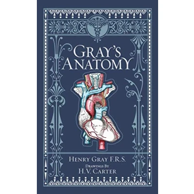 Afbeelding van Gray&#039;s Anatomy (Barnes &amp; Noble Collectible Classics