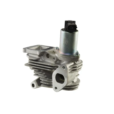 Afbeelding van HELLA 6NU 010 171 851 EGR klep Electrisch Met pakking RENAULT: LAGUNA 2 Grandtour, 2, MEGANE Kombi