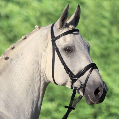 Afbeelding van STAR Bridle Lifestyle Mini Shetlander