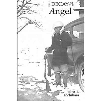Afbeelding van the Decay of Angel