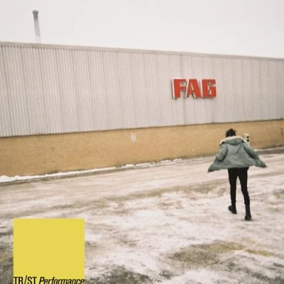 Afbeelding van Tr/St Performance (LP)