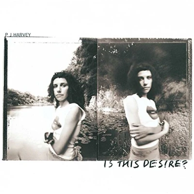 Afbeelding van PJ Harvey Is This Desire? (CD)