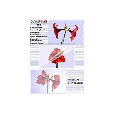 Image de Olympia 1x100 din a6 125 micron (9178)