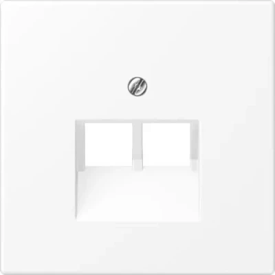 Afbeelding van JUNG LS990 afdekplaat 2xRJ45/RJ11 sneeuwwit mat LS969 2UAWWM