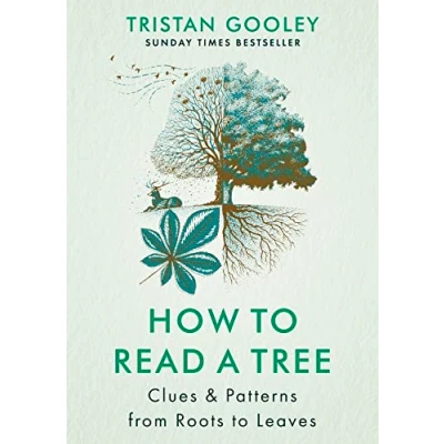 Afbeelding van How to Read a Tree