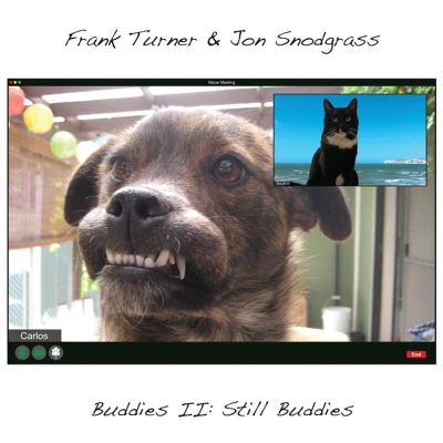 Afbeelding van Frank Turner &amp; Jon Snodg Buddies Ii:..
