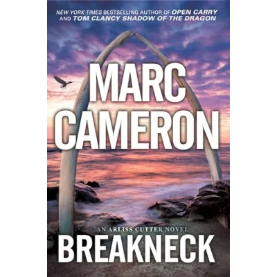 Afbeelding van Breakneck