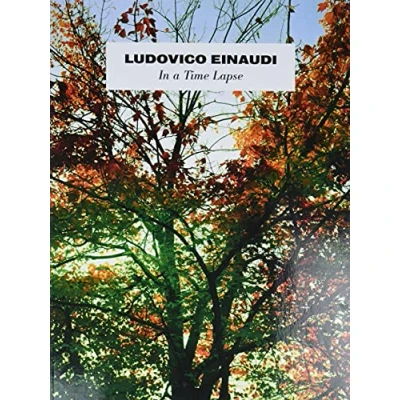 Afbeelding van Ludovico Einaudi In A Time Lapse