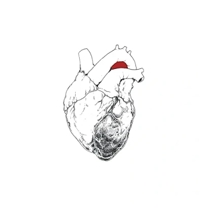 Afbeelding van Swans Beggar (2 LPs)