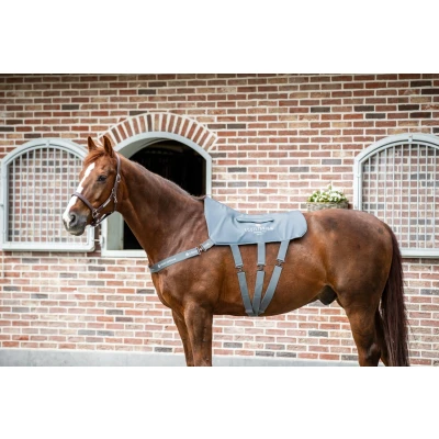 Image de Equilibrium Massage Pad Gris Cheval