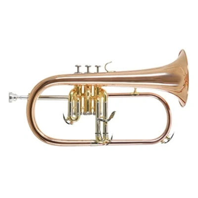 Image de Roy Benson Pro Series Bugle en Sib FH 302G laiton verni