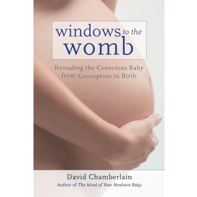 Afbeelding van Windows To The Womb