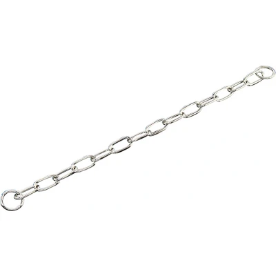 Afbeelding van Sprenger Halsband Voor Dieren Hond Halsketting Lange Schakel 3mmx47cm 1st