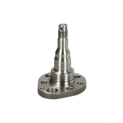 Afbeelding van BTA Astap, wielophanging H5W028BTA