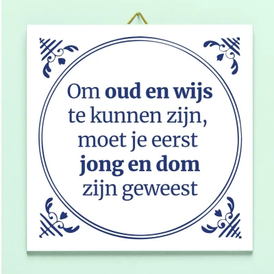 Afbeelding van Tegeltje Jong En Dom