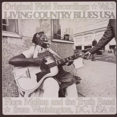 Afbeelding van Various Artists Living Country Blues USA Volume 3 (CD)