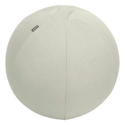 Image de Leitz Ergo Sit Ball 55cm L.grey