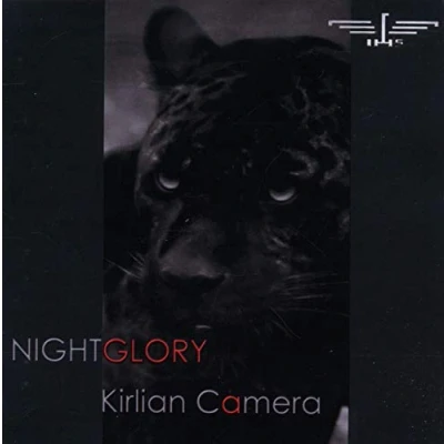 Afbeelding van Kirlian Camera Nightglory (CD)