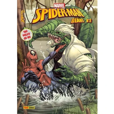 Image de Spider Man Géant N02