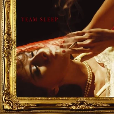Afbeelding van Team Sleep