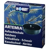 Afbeelding van HOBBY ARTEMIASCHAAL