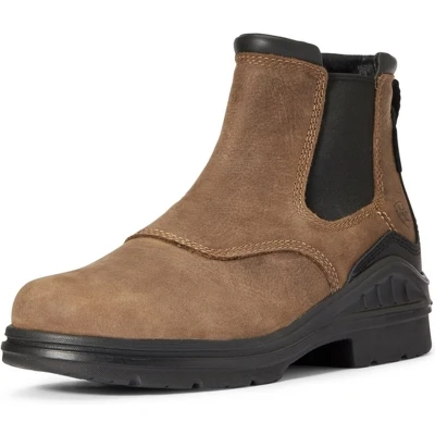 Afbeelding van Chaussures Hommes Barnyard Ariat