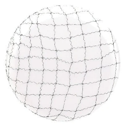 Afbeelding van Sinelco Nylon haarnetje lichtbruin 2st