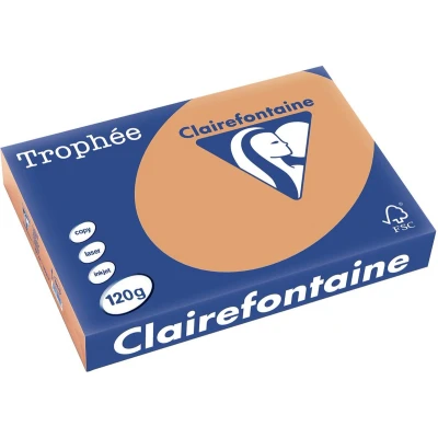Afbeelding van Clairefontaine Trophée Pastel, gekleurd papier, A4, 120 g, 250 vel, mokkabruin papier
