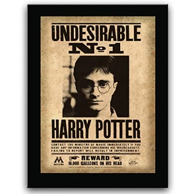 Afbeelding van Muurplaat &quot;Undesirable N1&quot; Harry Potter