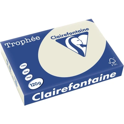 Afbeelding van Clairefontaine Trophée Pastel, gekleurd papier, A4, 120 g, 250 vel, parelgrijs papier