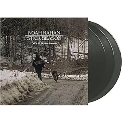 Afbeelding van Noah Kahan Stick Season (3 LPs)